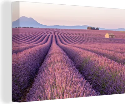 Produktbild von OneMillionCanvasses® - Leinwandbilder - 140x90 cm, Landschaft in Frankreich mit einem Lavendelfeld, Wandbilder Kunstdruck Wanddekoration