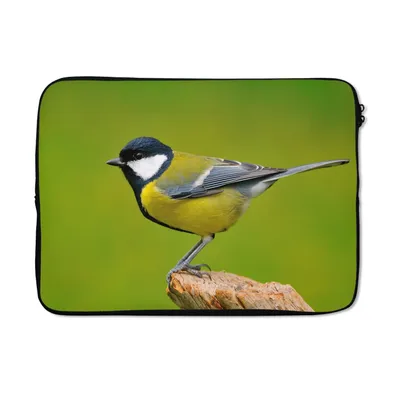 Produktbild von MuchoWow® Laptop Hülle 13 Zoll Vogel - Kohlmeise - Tiere - Grün Laptoptasche - Laptophülle - Sleeve - Rundumschutz