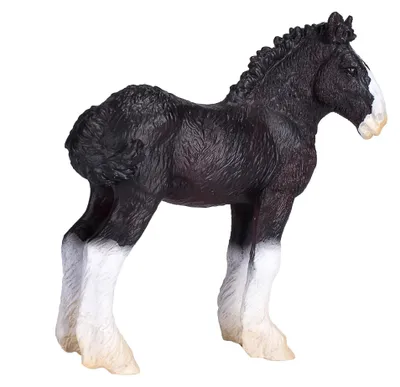 Image de Animal Planet Poulain Shire Horse