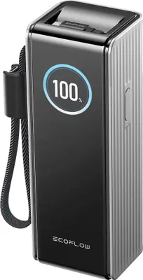 Obrázek produktu pro EcoFlow EF-RAPID25K100W-S-EU, 25000 mAh, 170 W, Černá, Stříbrná