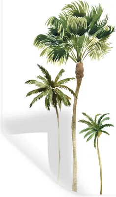 Produktbild von MuchoWow® Wandtattoo Wandsticker Wandaufkleber Dschungel - Palme - Weiß 40x60 cm Selbstklebend und Repositionierbar - Wierderverwendbar - Selbstklebend