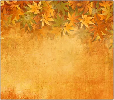 Produktbild von Spritzschutz Herdabdeckplatte Schneidebrett aus Glas Herbstblätter 1-Teilig (60x52cm)