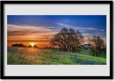 Produktbild von Bild 100x70 MDF-Rahmen Wandkunst Sun Wiesen-Landschaft