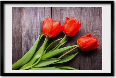 Produktbild von Bild 60x40 MDF-Rahmen, Wandkunst rote Tulpen