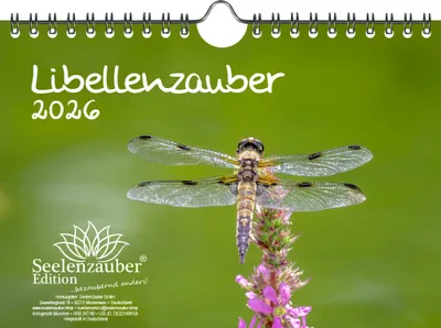 Produktbild von Libellenzauber DIN A5 Kalender für 2026 - Seelenzauber