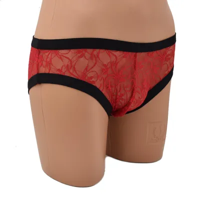 Produktbild von Damen Slip mit Spitze, aus 95% Polyester und 5% Elasthan, Farbe Rot, Größe M