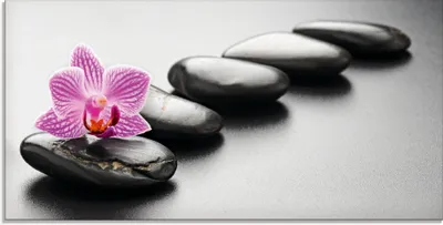 Produktbild von ARTland Glasbild Spa-Konzept mit Zen Steinen und Orchidee Größe: 60x30 cm