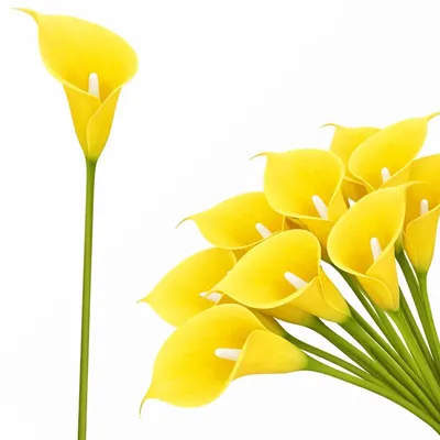 Produktbild von Künstliche Calla Kunstblume Gelb 31 cm Dekoblume mit Gummistiel für Bouquet Gesteck Wohn Deko