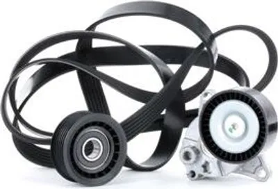 A serpentine belt and two pulleys are laid out on a white background.