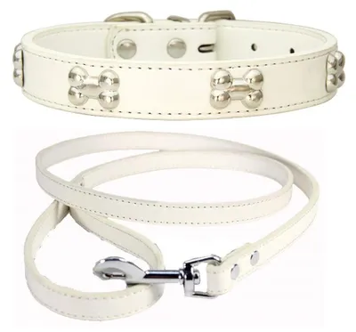 Productafbeelding van Solidchoice - Verstelbare PolyurethanHondenhalsband met Leash voor Kleine en Middelgrote Honden