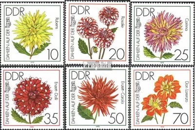 Produktbild von Briefmarken DDR 1979 Mi 2435-2440 (kompl.Ausgabe) postfrisch Internationale Gartenbauausstellung