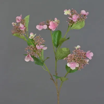 Produktbild von artplants.de Kunst Dekozweig Hortensie KATHANI, rosa-Creme, 80cm - Künstlicher Zweig