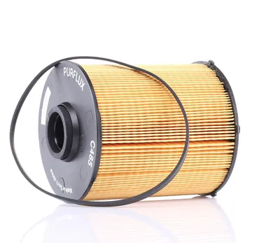 Obrázek produktu pro Palivový filtr PURFLUX