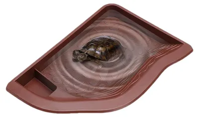 Imagen del producto de Bebedero para reptiles y tortugas