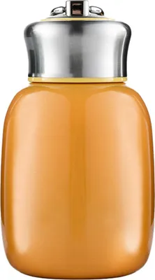 Obrázek produktu pro Nerezová mini láhev na vodu, 280 ml, izolovaná láhev na vodu, nepropustný sportovní kelímek
