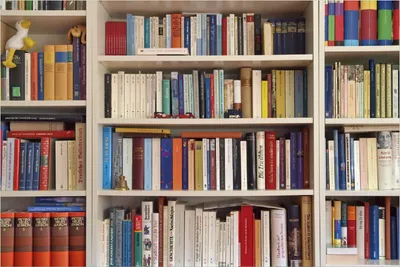 Produktbild von Wallario Poster - Weißes Bücherregal mit unterschiedlichen Büchern, Kunstdruck Größe: 61 x 91,50 cm