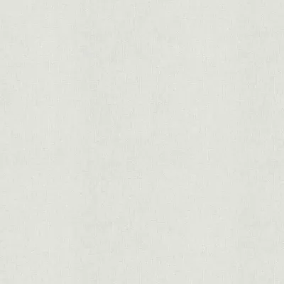 Produktbild von A.S. Création Vliestapete Meistervlies Pro Protect 2, weiss, überstreichbar, 25,00 m x 1,06 m, 589514, 5895-14