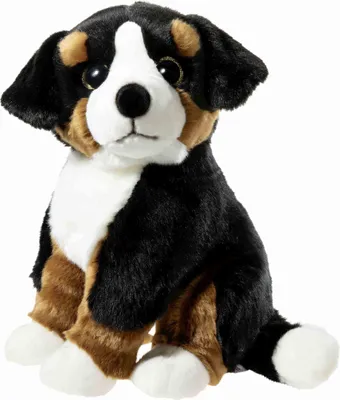 Produktbild von ALPENWELT Sennehund
