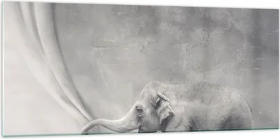 Produktbild von Bilder auf glas - Elefant Vorhang Abstraktion Phantasie - 120x50cm - Glasbilder - Wandbilder - Kunstdruck - Wanddekoration aus Glas - Glas Bilder - Wandbild auf Glas - GAB120x50-3011