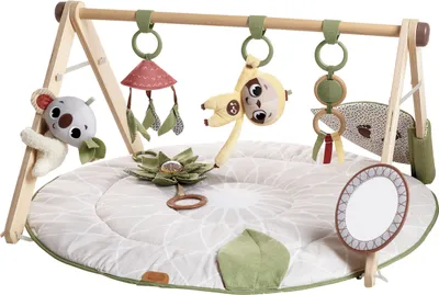 Image de Tiny Love Boho Chic Luxe Babygym