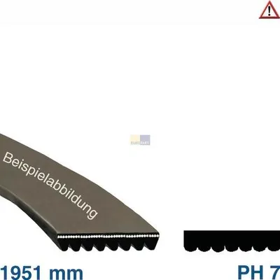 A v-ribbed belt, shown in two views, with its length and profile indicated by text.