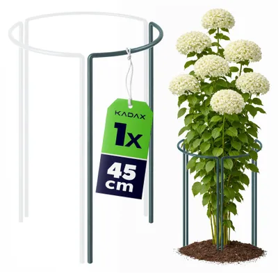 Productafbeelding van KADAX Plantensteun, 45 cm hoog, 1 stuk, plantensteun van gepoedercoat staal, hortensiesteun, klimhulp voor vaste planten, struiksteun (1/3 rond)