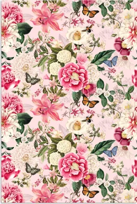 Produktbild von MuchoWow® Poster Lilie - Blumen - Insekten 60x90 cm - Wanddekoration