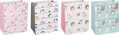 Image de Sac cadeau L 30x41,5x12 Cm enfant