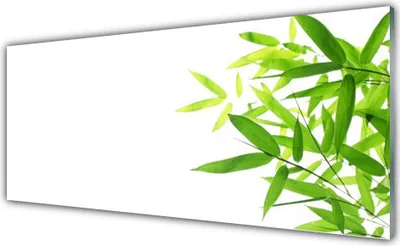 Produktbild von Acrylglasbilder 125x50 Wandbild Druck Blätter Pflanzen