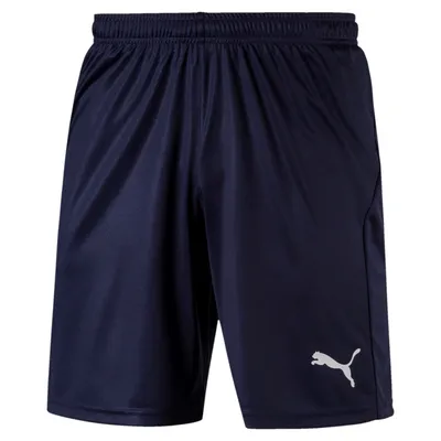 Image de Hommes Short de jeu Puma Liga Shorts Core Peacoat Puma White Taille M