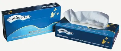 Produktbild von Taschentuch mit Wattierung, Packung 100, 2 Stück