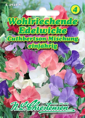 Produktbild von Edelwicke Cuthbertson PrachtMischung  | Wickensamen von N.L. Chrestensen