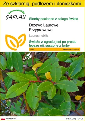 Zdjęcie produktu dla SAFLAX - Zestaw do uprawy - Drzewo Laurowe Przyprawowe - 6 Nasiona - Z mini szklarnią, podłożem uprawowym i 2 doniczkami - Laurus nobilis