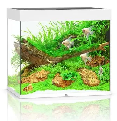 Productafbeelding van Juwel Lido 200 LED | 200L | 71 x 51 x 65CM Wit