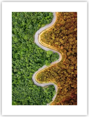 Produktbild von Poster - Poster ohne Rahmen - Luftaufnahmen Weg Wald - 30x40 cm - Wand Bild - Wanddeko - Wandbilder - Kunstposter - Wandposter - Bilder - Kunstdruck - Wanddekoration - Wandbild - P2XPA30x40-4659