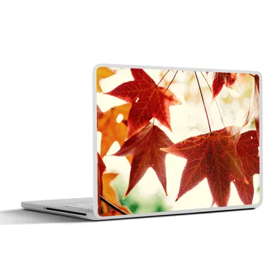 Produktbild von MuchoWow® Laptop Aufkleber Sticker Cover Herbstblätter - November - Natur - Bäume 31x22.5 cm - Laptop-Deko