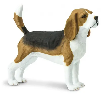 Obrázok produktu pre Safari Ltd Beagle Brown / White / Black Jedna veľkosť
