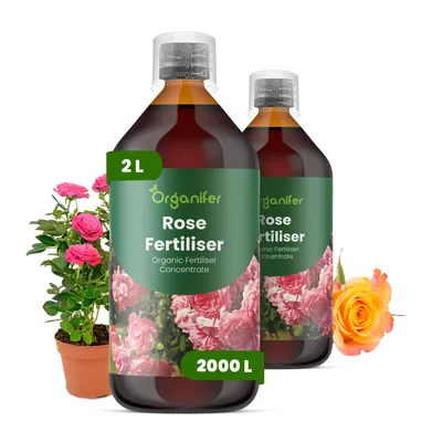 Zdjęcie produktu dla Ruže Nawóz Płynny 2x1 L – 3-4-3 NPK – Do Ruže – Podporuje Silne Korzenie i Stabilny Wzrost – Organifer