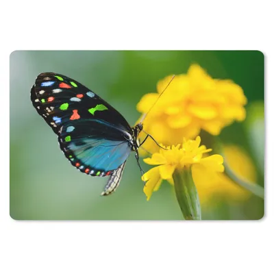 Produktbild von MuchoWow® Schreibtischunterlage Schmetterling - Blume - Tier - Insekt 60x40 cm - XXL Mauspad - Großes Mauspad