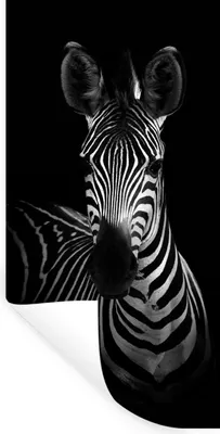 Produktbild von MuchoWow® Wandtattoo Wandsticker Wandaufkleber Zebra - Schwarz - Weiß - Tiere 60x120 cm Selbstklebend und Repositionierbar - Selbstklebend - Fototapeten
