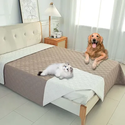 A dog and a cat are on a bed with a protective blanket.