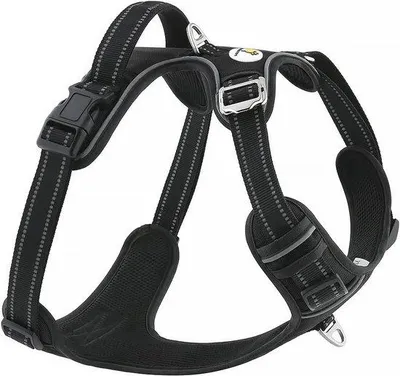 Produktbild von Halsband für kleine bis große Hunde - verstellbar und sicherheits