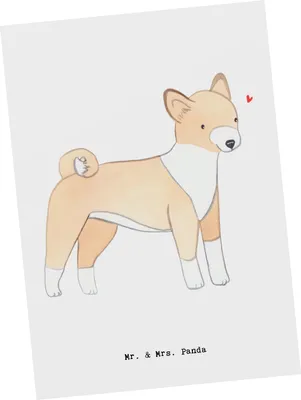 Produktbild von Mr. & Mrs. Panda Postkarte Basenji Lebensretter - Weiß - Geschenk, Postkarten, Fotokarte, Kongo-Terrier, Grußkarte, Ansichtskarten, Ansichtskarte