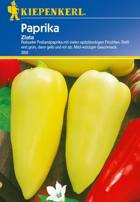 Produktbild von Paprika Zlata | Paprikasamen von Kiepenkerl