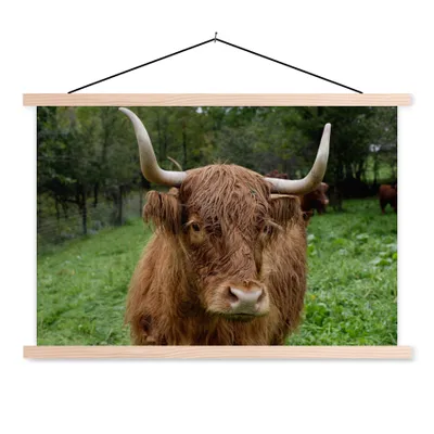 Produktbild von MuchoWow® Textilposter Schottische Highlander - Tiere - Gras 120x80 cm mit holzfarbenen Rahmen - Aufhängeset