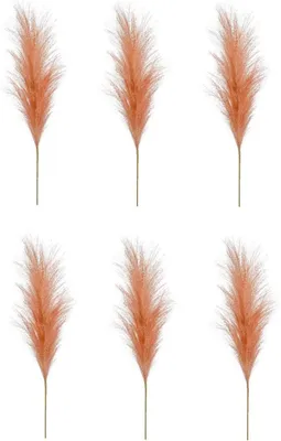 Produktbild von 6er Set künstliches Pampasgras Federzweig orange H. 100cm Emerald Kunstblumen