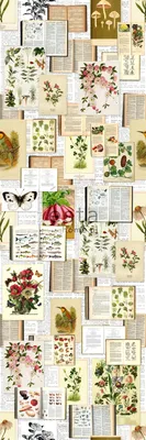 Produktbild von ESTAhome Fototapete botanische Motive Beige, Grün und Rosa 100 x 279 cm