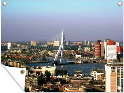 Produktbild von MuchoWow®