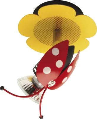 Zdjęcie produktu dla Sopt "Ladybird"
