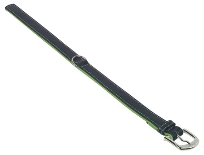 Produktbild von Nobby Pacific, Hund, Standardkragen, Grün, Leder, M-L, 41 cm